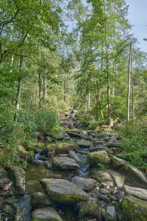 Gemeinde Waldkirchen Landkreis Freyung-Grafenau Saußbachklamm (Dirschl Johann) Deutschland FRG